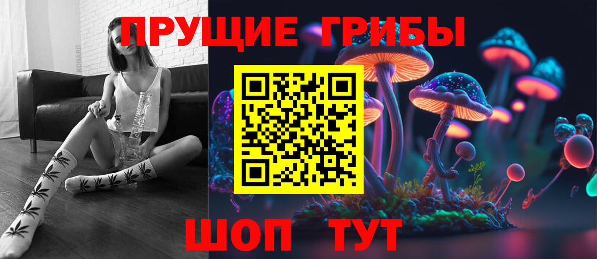 Псилоцибиновые грибы прущие грибы Ставрополь