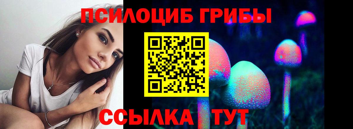 купить   Вход с VPN  Псилоцибиновые грибы Cubensis  Ставрополь  Псилоцибиновые грибы ЛСД 